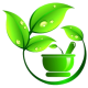 Leaf-Png